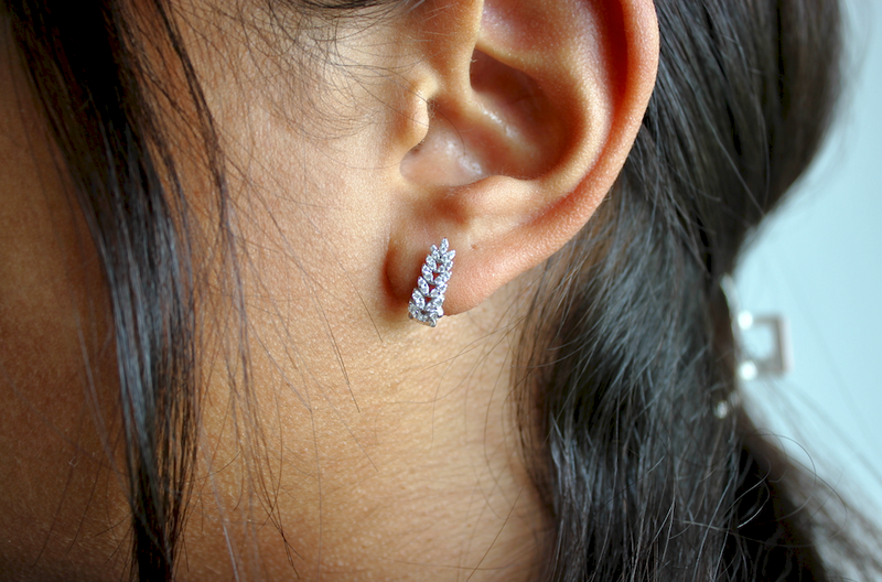 Sparkling Leaf Silver